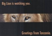 Big Lion is watching you. Greetings from Tanzania.