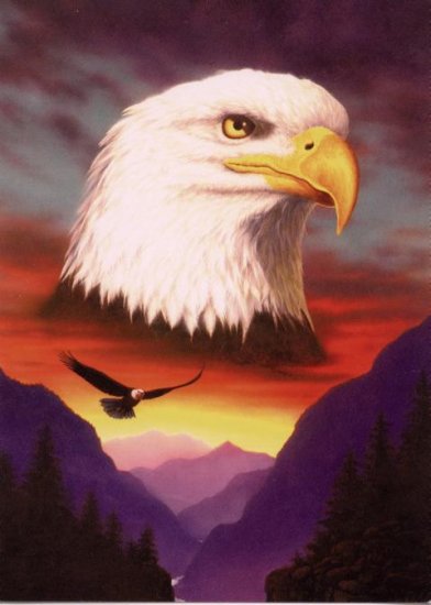 eagle - Click Image to Close