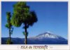 Teneriffa El Teide