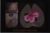 Pitcairn Island - Niew Korb/Bounty Puppe/Hattie Blatt