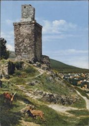 castle ruins Falkenstein (Taunus) with capricorns