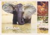 Ghana, Elefant und Wildtiere