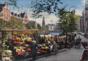 Amsterdam - Blumenmarkt mit Münzturm