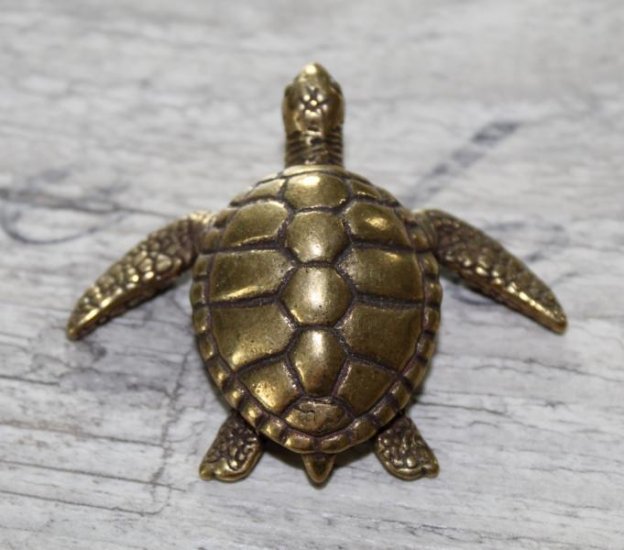 Brass Turtle - Click Image to Close