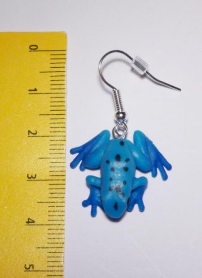 blaue Pfeilgift-Frösche Ohrringe - zum Schließen ins Bild klicken