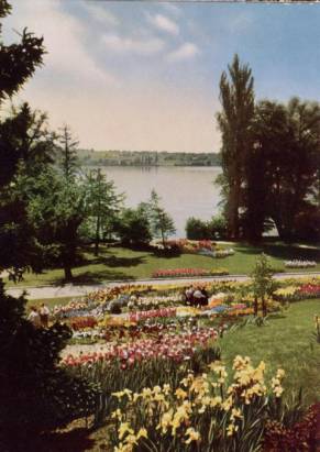 Insel Mainau Irisanlagen im Ufergarten - zum Schließen ins Bild klicken