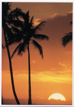 Sonnenuntergang Hawaii - zum Schließen ins Bild klicken