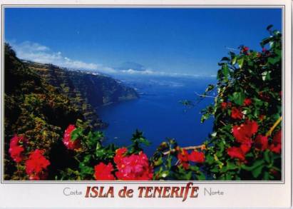 Teneriffa Mesa del Mar - Click Image to Close