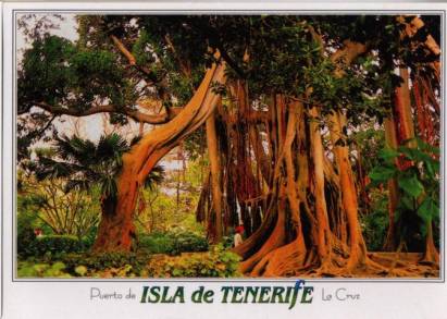 Teneriffa Puerto de la Cruz - Jardin Botanico - zum Schließen ins Bild klicken