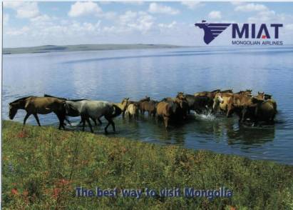 Wild horses of Mongolia - Click Image to Close