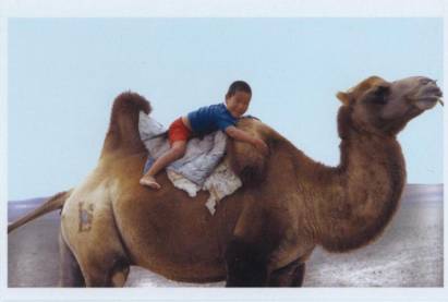 mongolisches Kind auf Kamel - zum Schließen ins Bild klicken