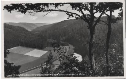 Aussicht vom Silberblick im Conschwitzer Wald bei Wünschendorf a - zum Schließen ins Bild klicken
