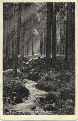 Altenau (Oberharz) - Early morning at the dam trench - Click Image to Close