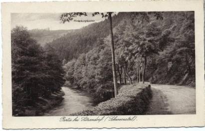 landscape near Sitzendorf (Schwarzatal) - Click Image to Close