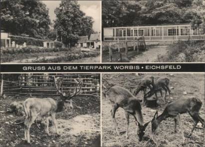 Tierpark Worbis (Eichsfeld) - zum Schließen ins Bild klicken