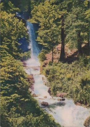 Sankenbacher Wasserfälle, Baiersbronn-Kniebis/Schwarzwald - zum Schließen ins Bild klicken