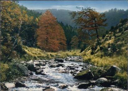 Harz, Forest Brook - Click Image to Close