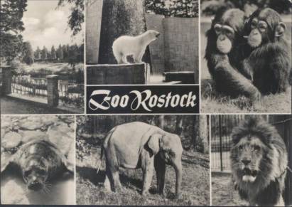 Zoo Rostock - zum Schließen ins Bild klicken