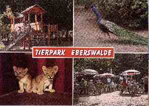 Tierpark Eberswalde - zum Schließen ins Bild klicken
