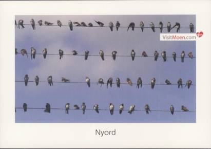 Nyord bei Mön, Vögel - zum Schließen ins Bild klicken