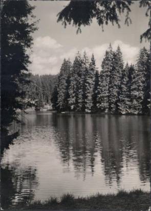 Spiegeltaler Teich (Oberharz) - zum Schließen ins Bild klicken
