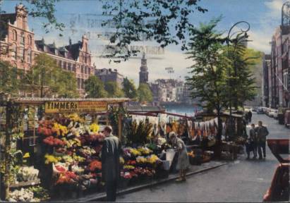 Amsterdam - Blumenmarkt mit Münzturm - zum Schließen ins Bild klicken