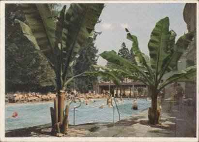 Badenweiler - Thermalschwimmbad - zum Schließen ins Bild klicken