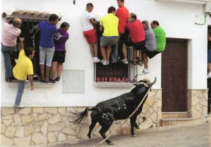 Running of the bulls in Andalucia - Click Image to Close