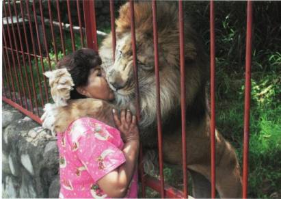 Löwe küsst Frau (Cali/Kolumbien) - zum Schließen ins Bild klicken