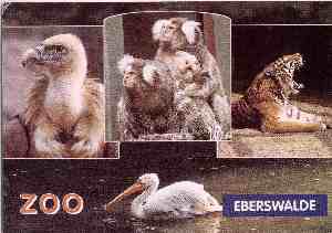 Zoo Eberswalde - zum Schließen ins Bild klicken