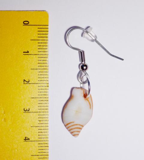 Marine Animals Snail Earrings - Click Image to Close